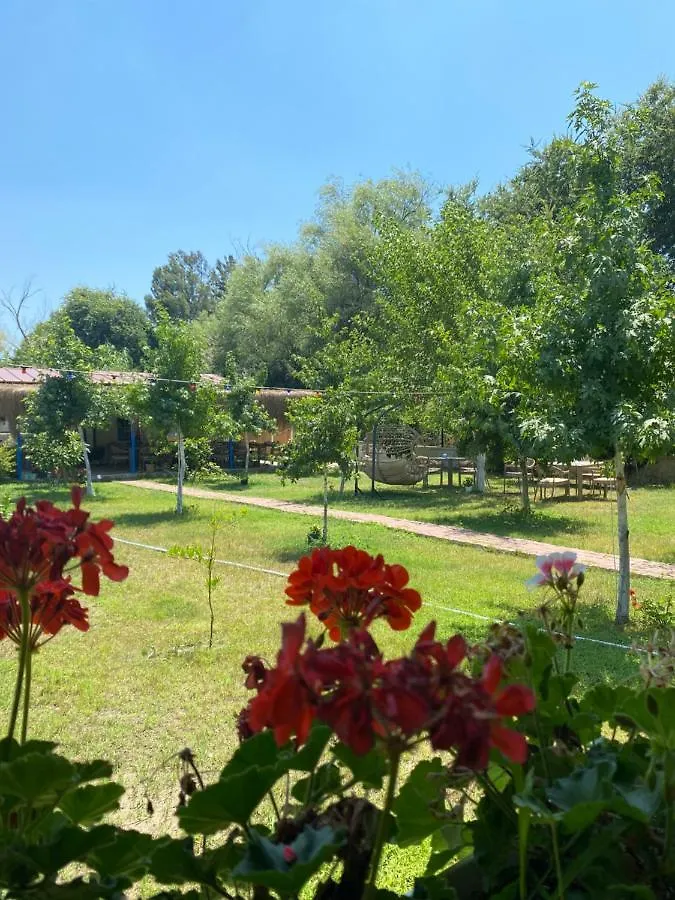 Oda ve Kahvaltı Inlice Uenzile Bungalow Inlice Kamp Fethiye Türkiye