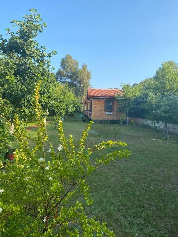 Inlice Uenzile Bungalow Inlice Kamp Fethiye 0*,